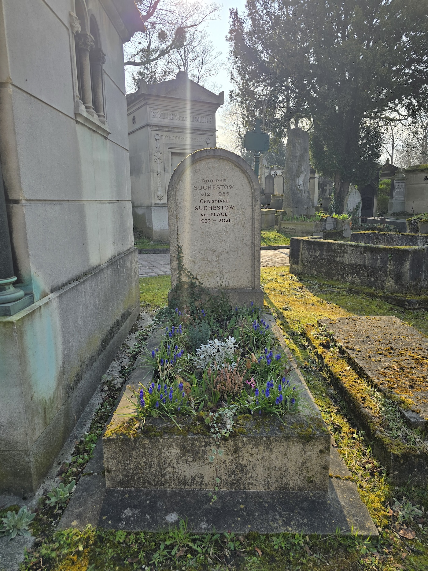 Альтернативний текст фотографії