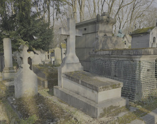 Nagrobek rodziny Skarbków i Guillaume’a Colona z wysokim krzyżem na schodkowej podstawie. Nagrobek otoczony siatką, pokryty mchem. W pobliżu inne groby i drzewa.