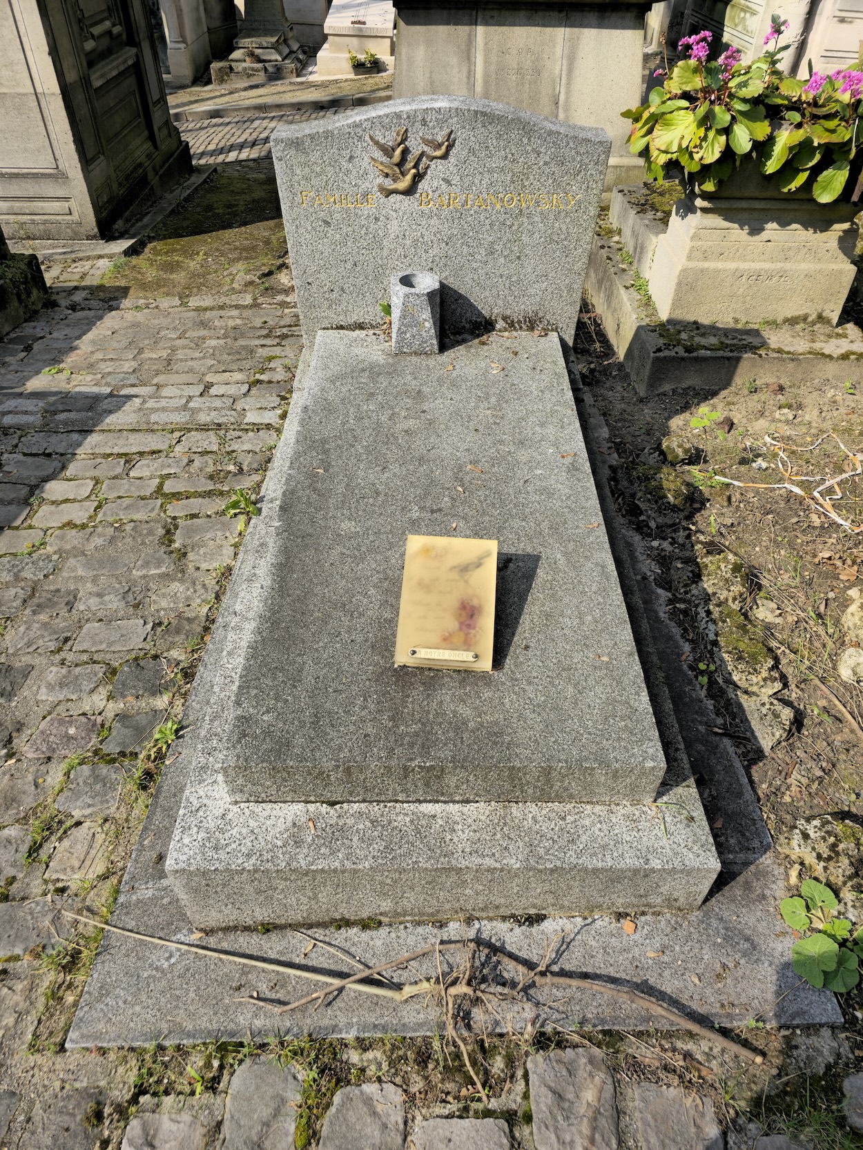 Альтернативний текст фотографії