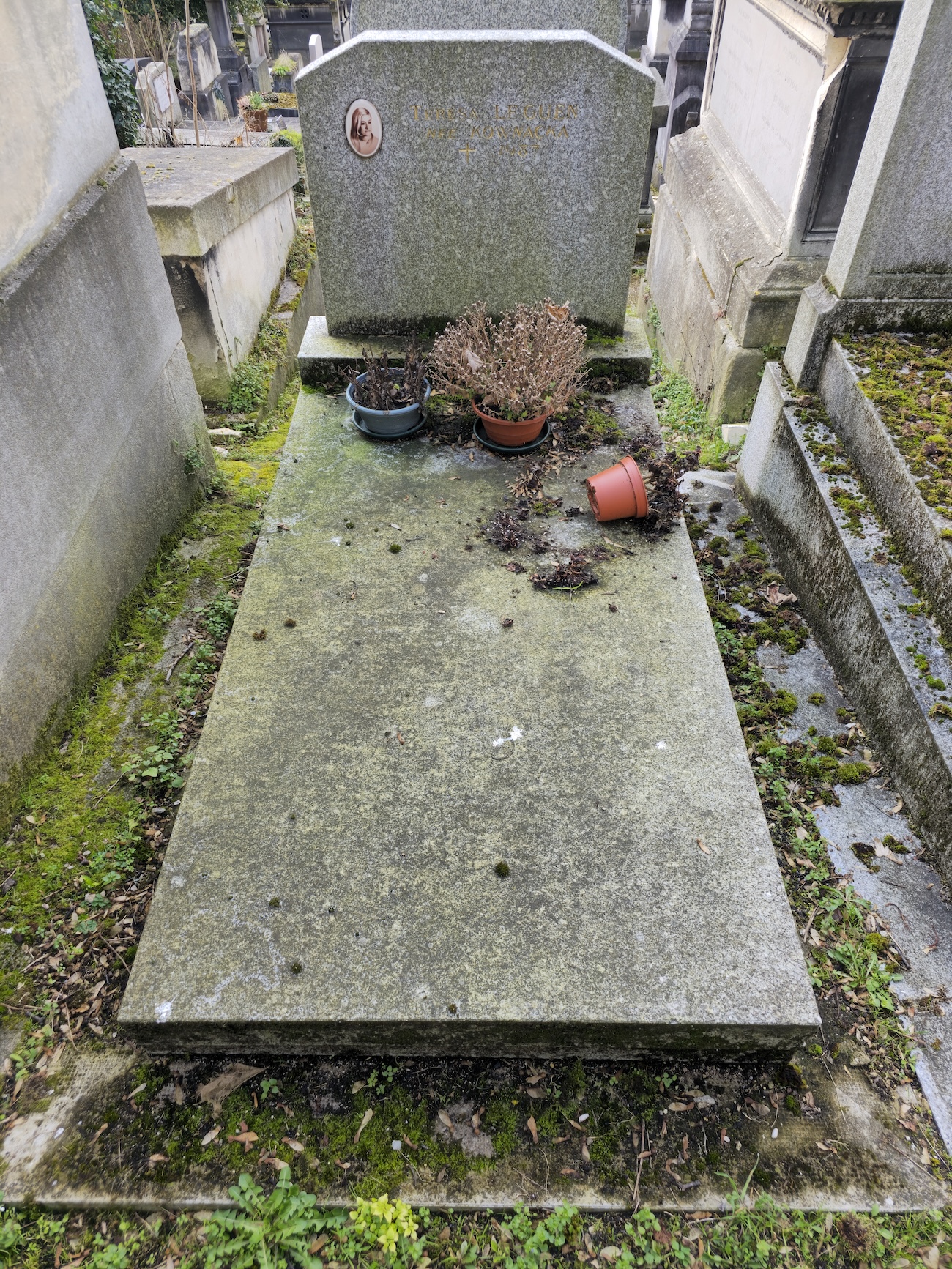 Fotografia przedstawiająca Nagrobek Teresy Kownackiej