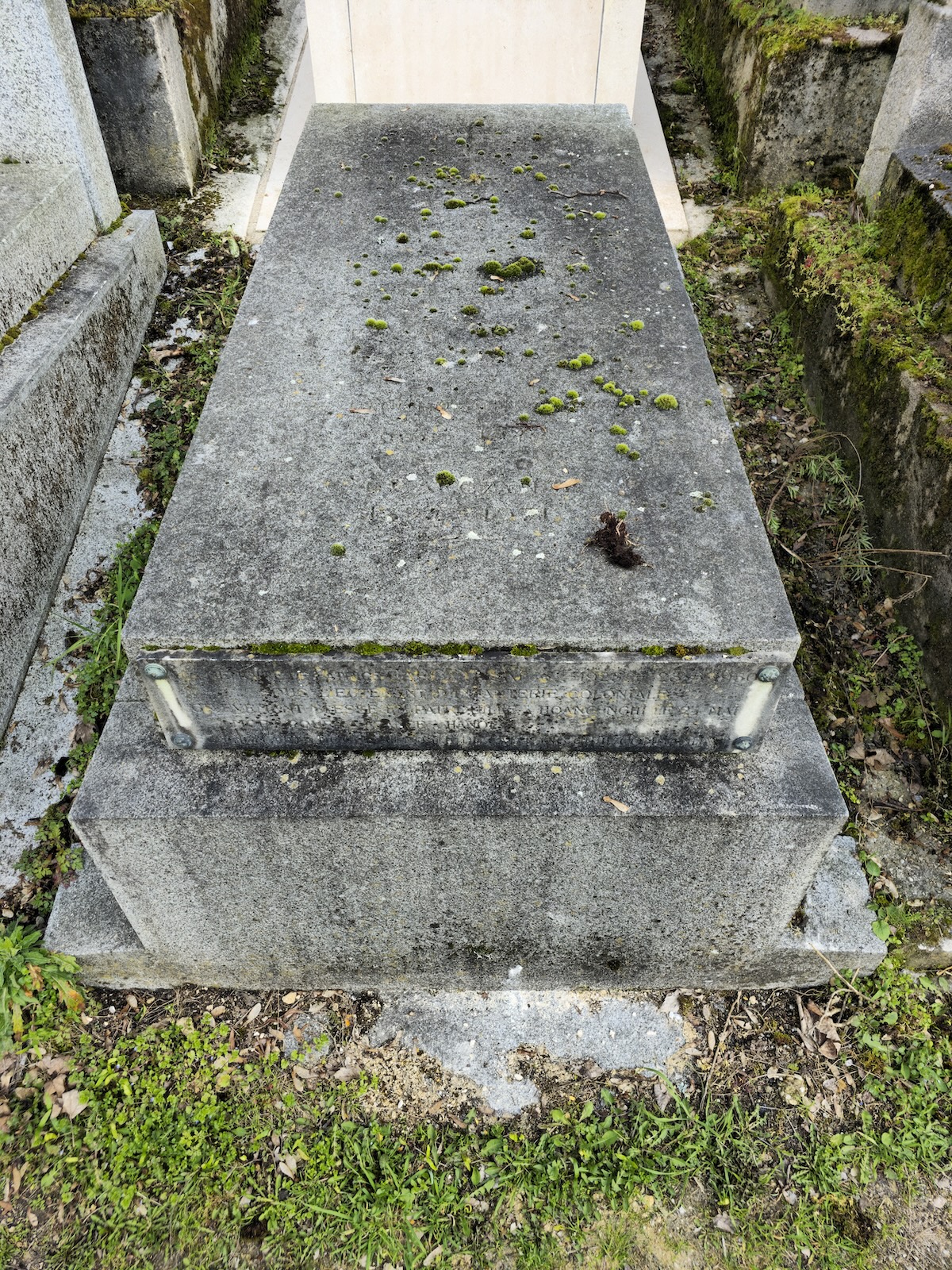 Photo montrant Nagrobek rodziny Garczyńskich