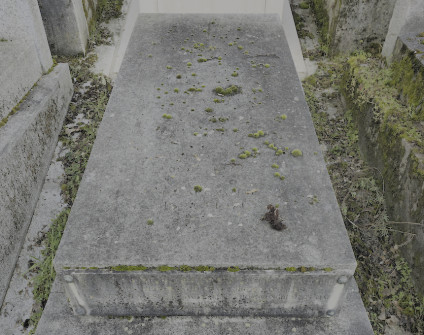 Nagrobek rodziny Garczyńskich z wysokim cokołem i skośną płaską płytą. Widoczne inskrypcje na płycie i marmurowej tablicy z przodu.