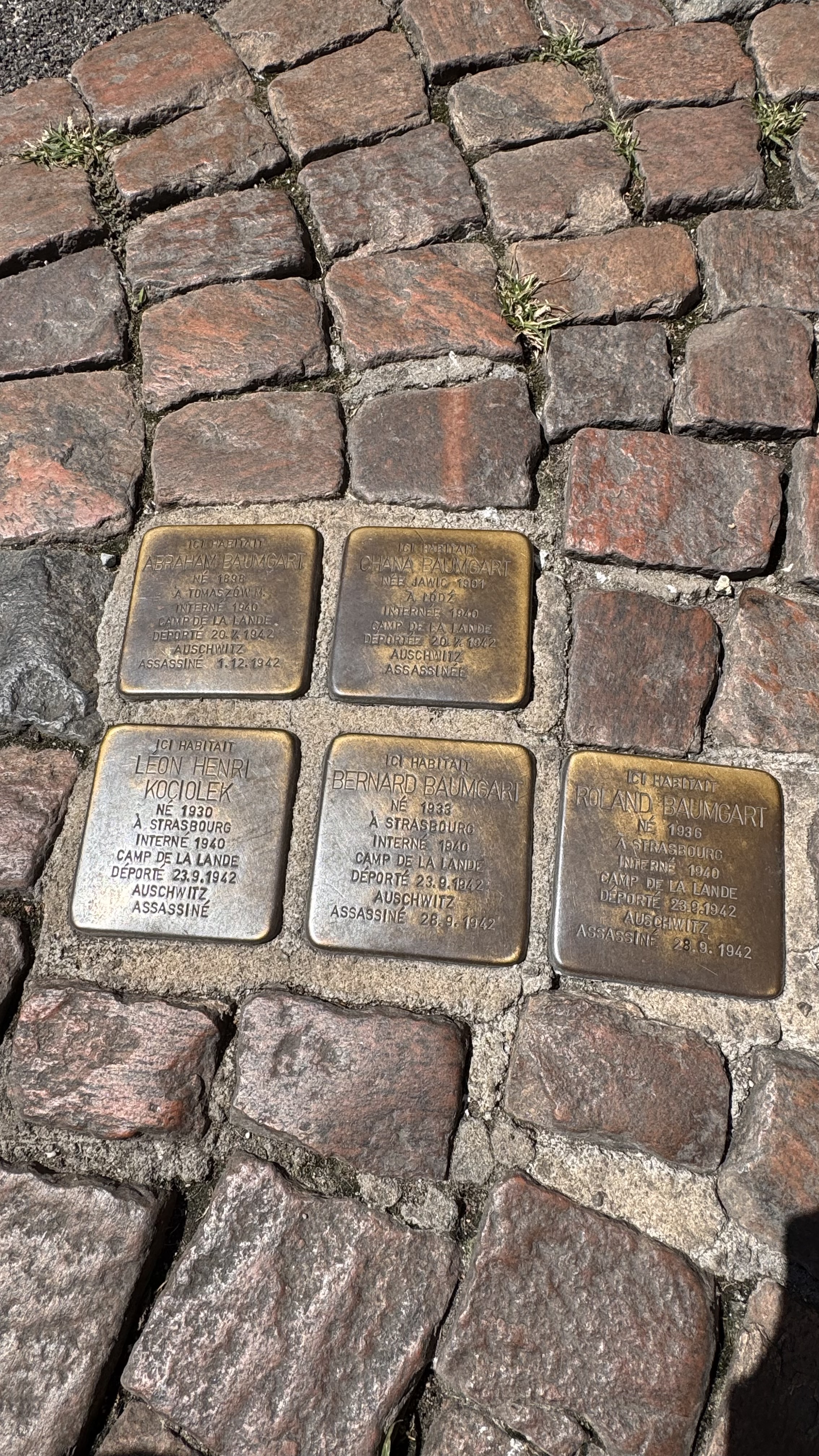Photo showing Stolpersteine na 4 Place Saint‑Pierre w Bordeaux upamiętniające rodzinę Baumgart