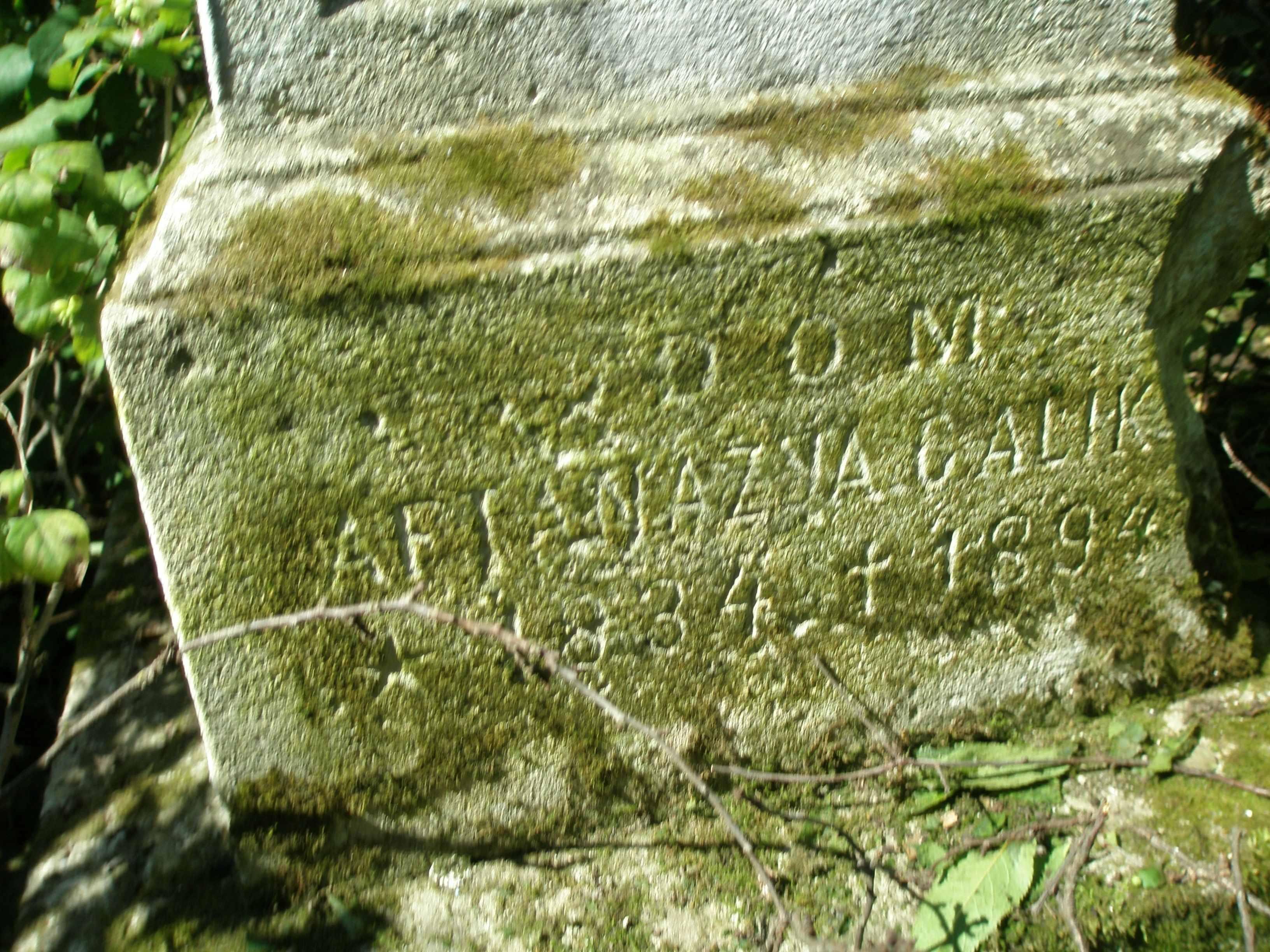 Inscription from the gravestone of Atanazja Galik, Novostavce cemetery (old), as of 2006