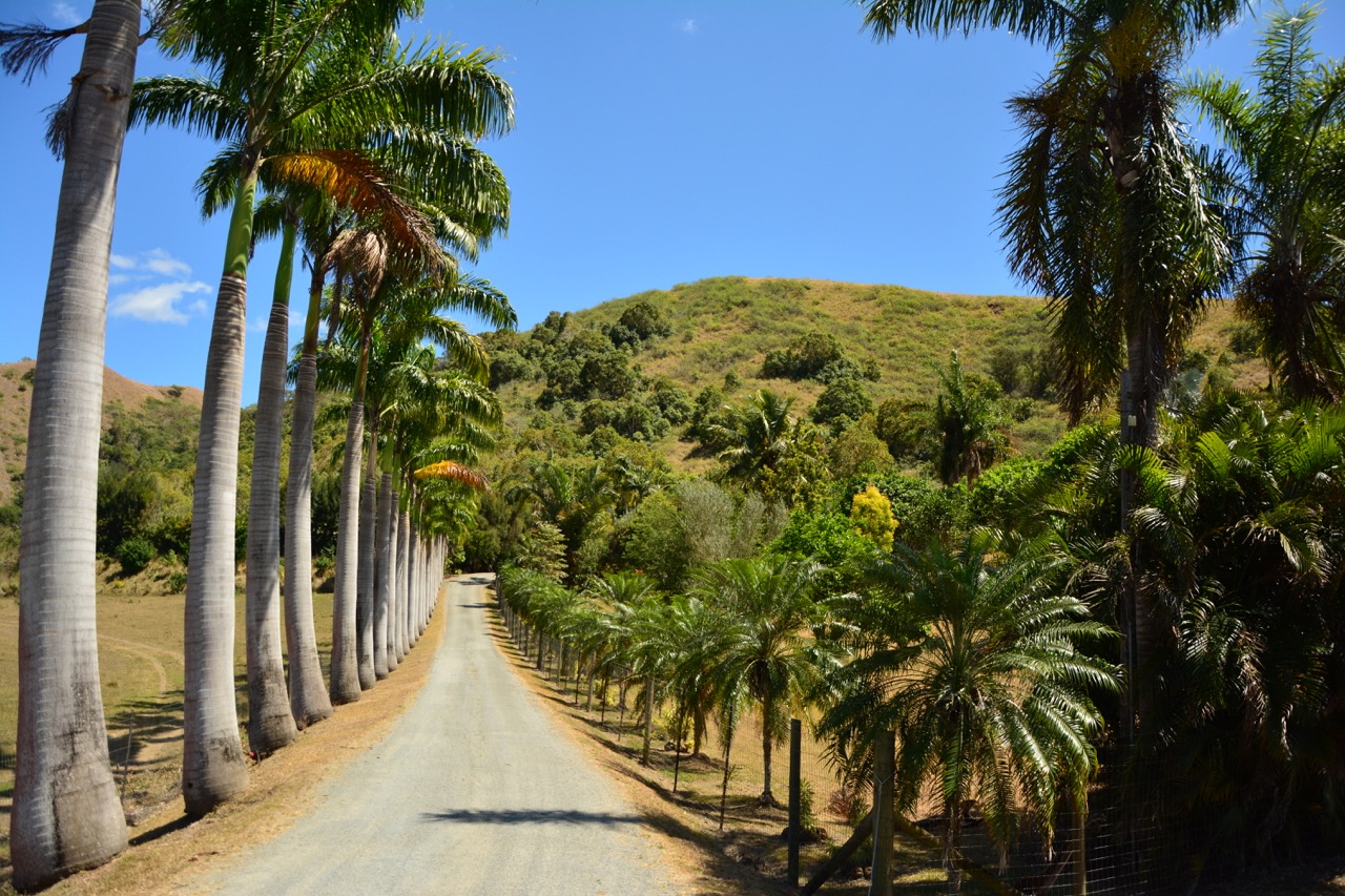 Photo showing Wzgórze Polaka w wiosce Bourail w Nowej Kaledonii