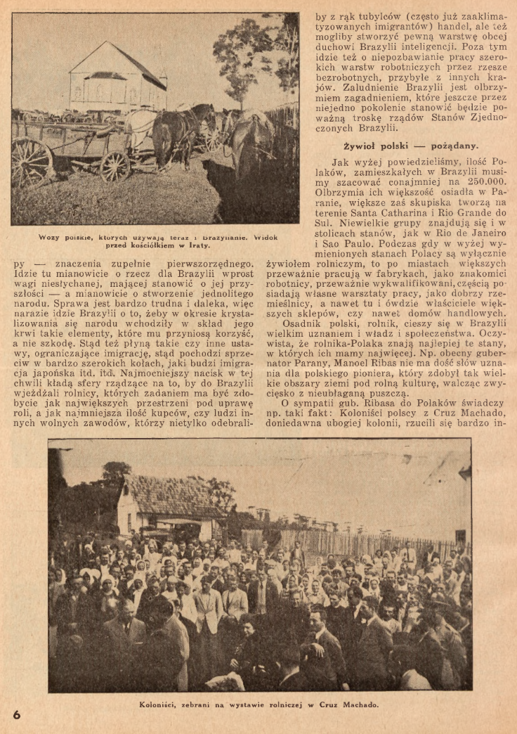 Photo showing Polacy w Brazylii