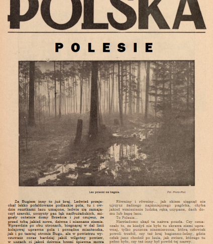Okładka czasopisma 'Polska' z 8 sierpnia 1937 roku z tytułem 'Polesie' i fotografią lasu na bagnie. Strona zawiera tekst o regionie Polesia.