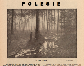 Okładka czasopisma 'Polska' z 8 sierpnia 1937 roku z tytułem 'Polesie' i fotografią lasu na bagnie. Strona zawiera tekst o regionie Polesia.