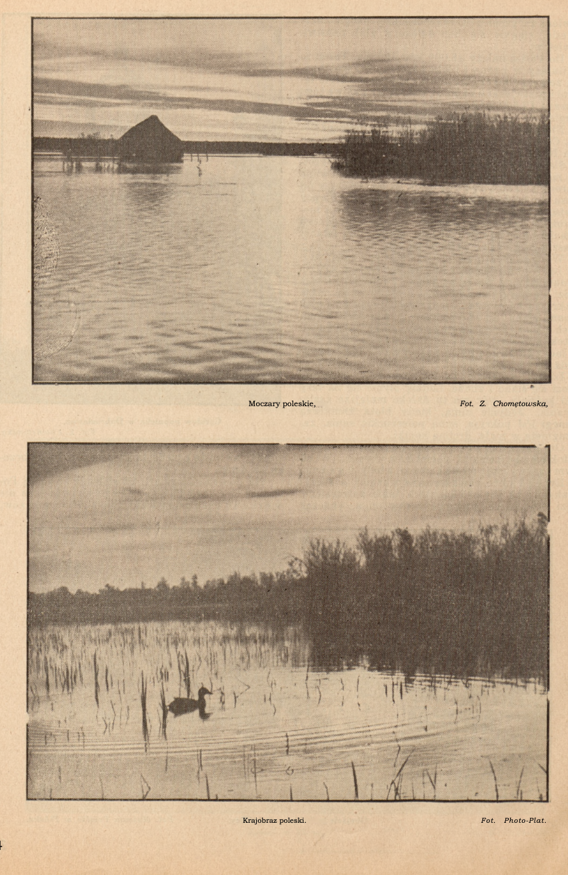 Photo montrant Polesie