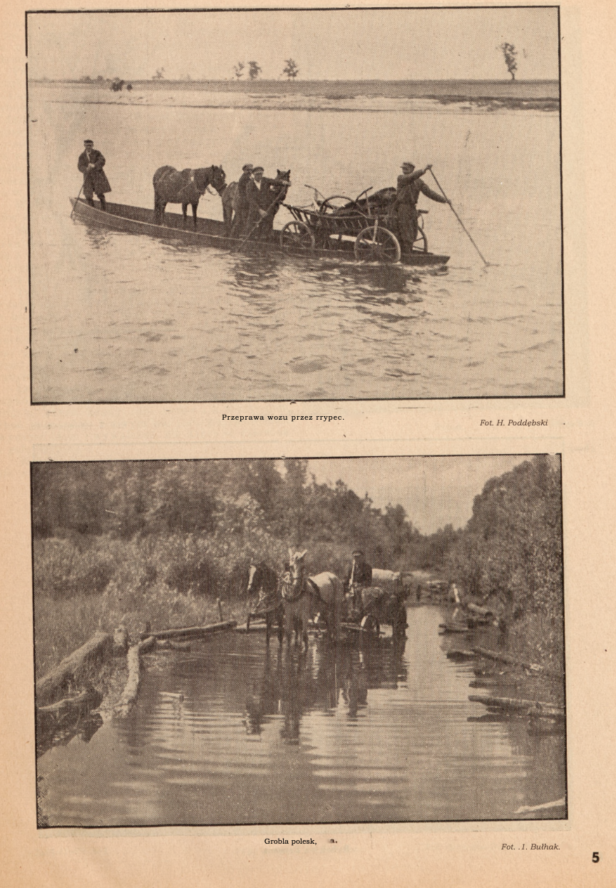 Photo montrant Polesie