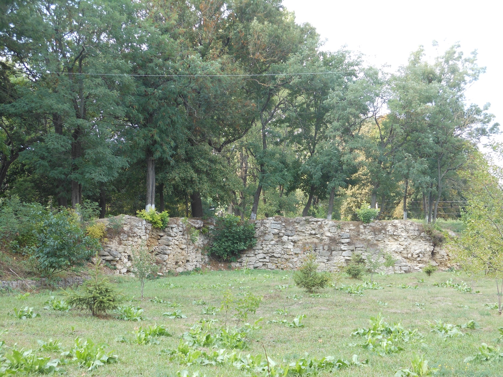 Photo montrant Traces polonaises à Bar