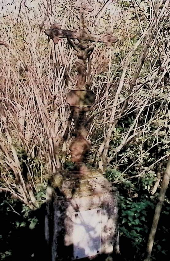 Fotografia przedstawiająca Marya Broszniowska