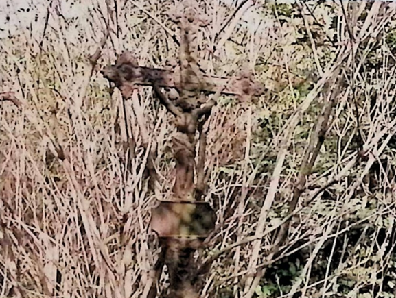 Fotografia przedstawiająca Marya Broszniowska