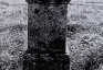 Альтернативний текст фотографії