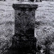 Альтернативний текст фотографії