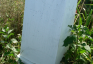 Photo montrant Tombstone of Józefa Ferlewicz