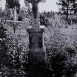 Альтернативний текст фотографії