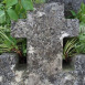 Photo showing Nagrobek N.N.