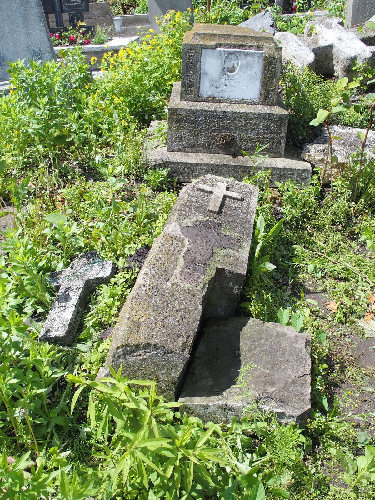 Fotografia przedstawiająca Nagrobek Bronisławy Tabeckiej