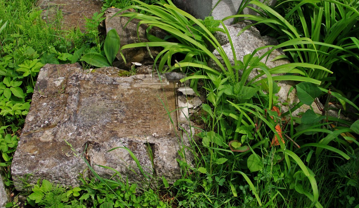 Fotografia przedstawiająca Nagrobek Józefy Baumgartner