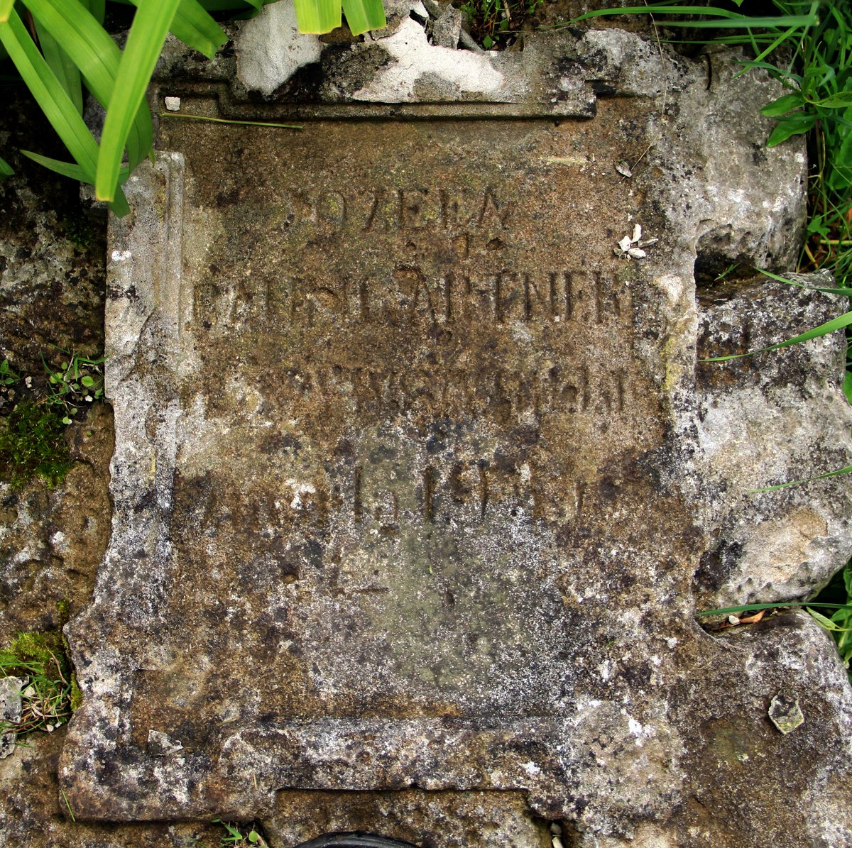 Fotografia przedstawiająca Nagrobek Józefy Baumgartner