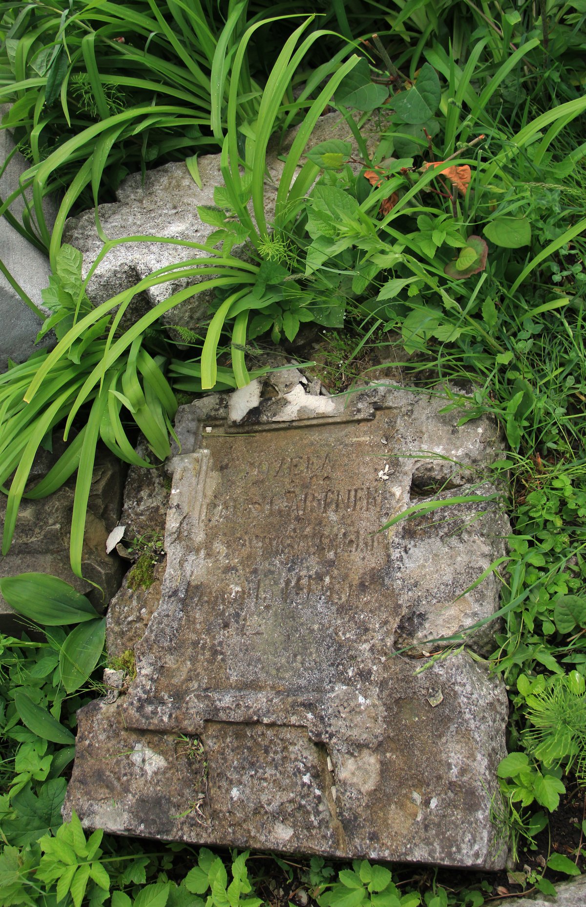 Fotografia przedstawiająca Nagrobek Józefy Baumgartner