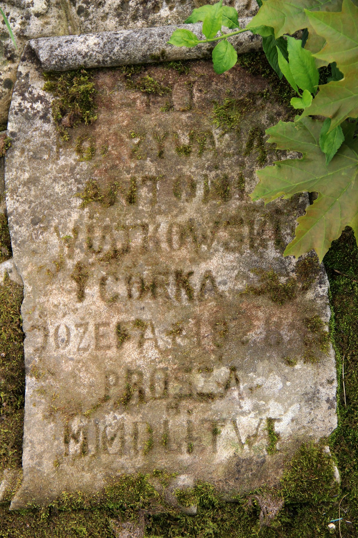 Photo showing Nagrobek Antoniego i Józefy Świątkowskich