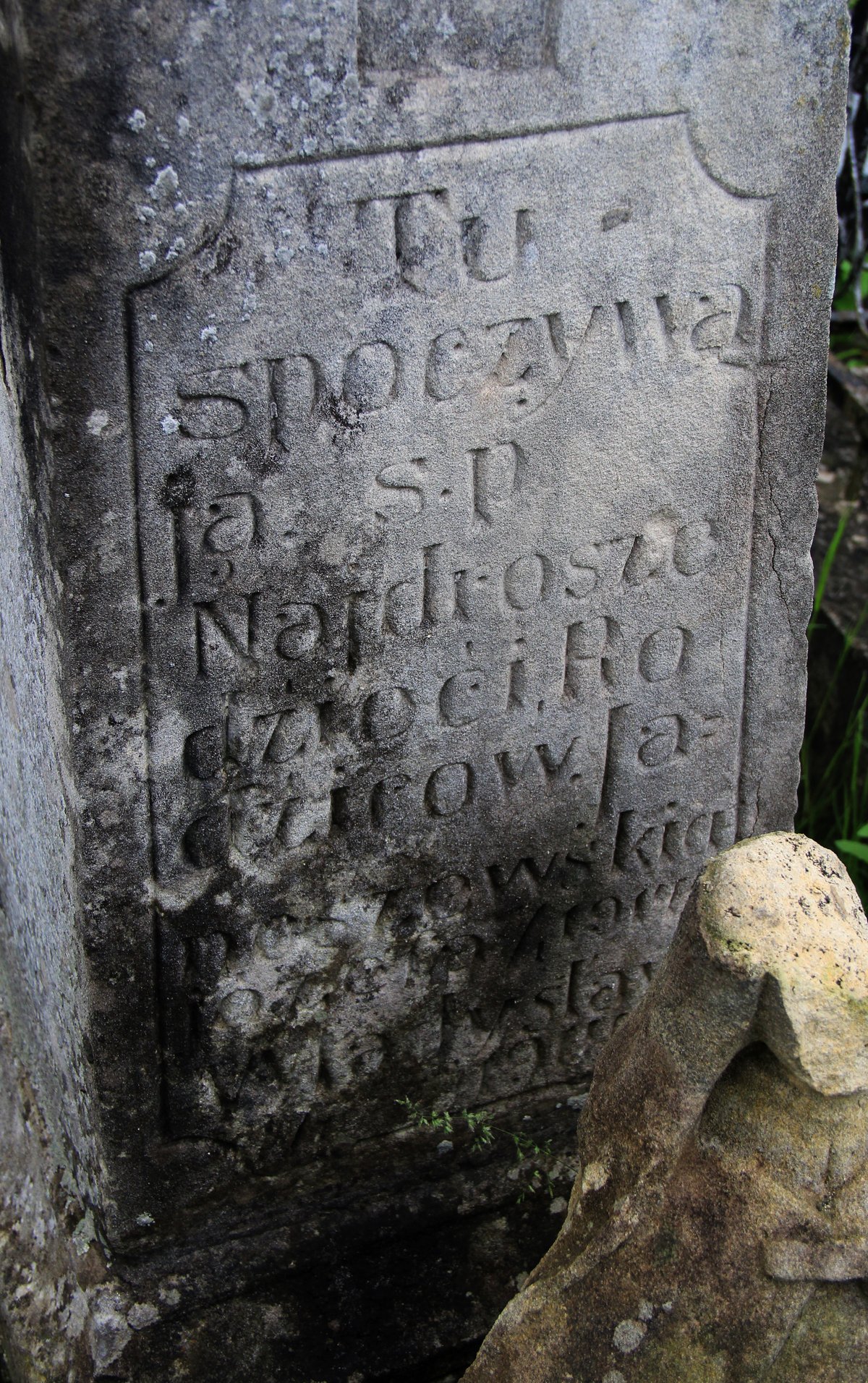Photo montrant Nagrobek rodziny Janoszewskich