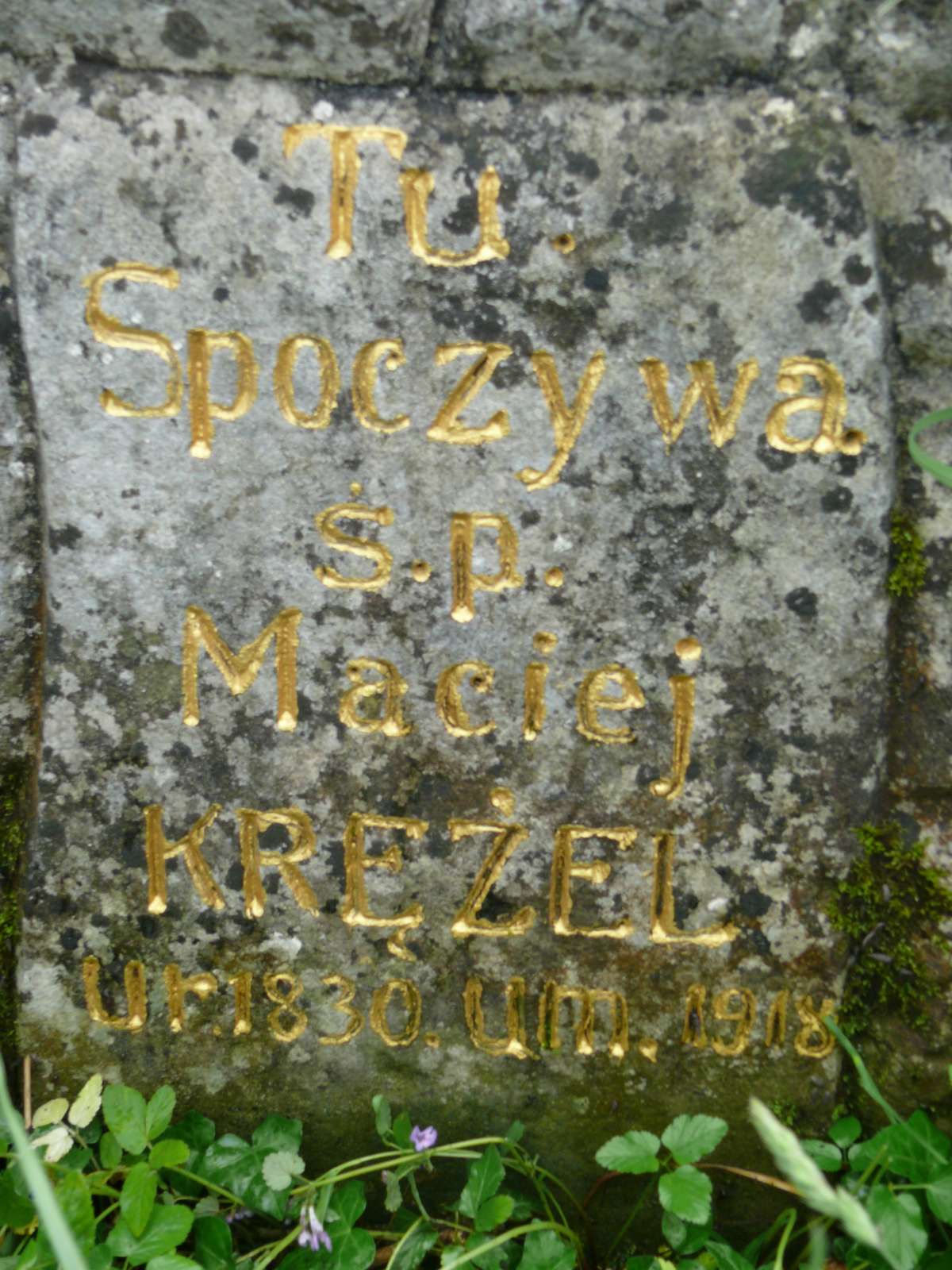 Photo montrant Nagrobek Macieja Krężla