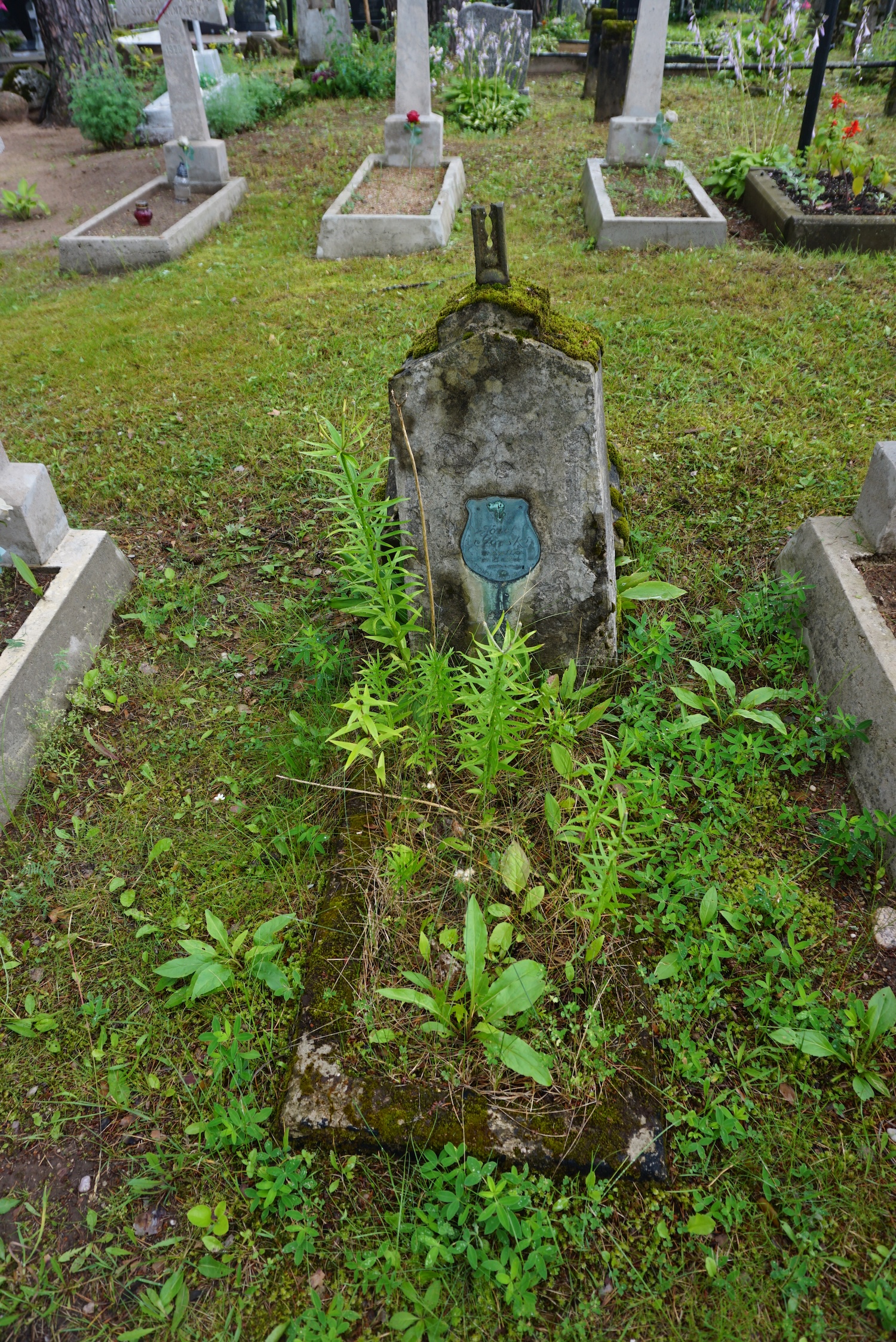 Fotografia przedstawiająca Józef Górski