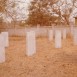Альтернативний текст фотографії