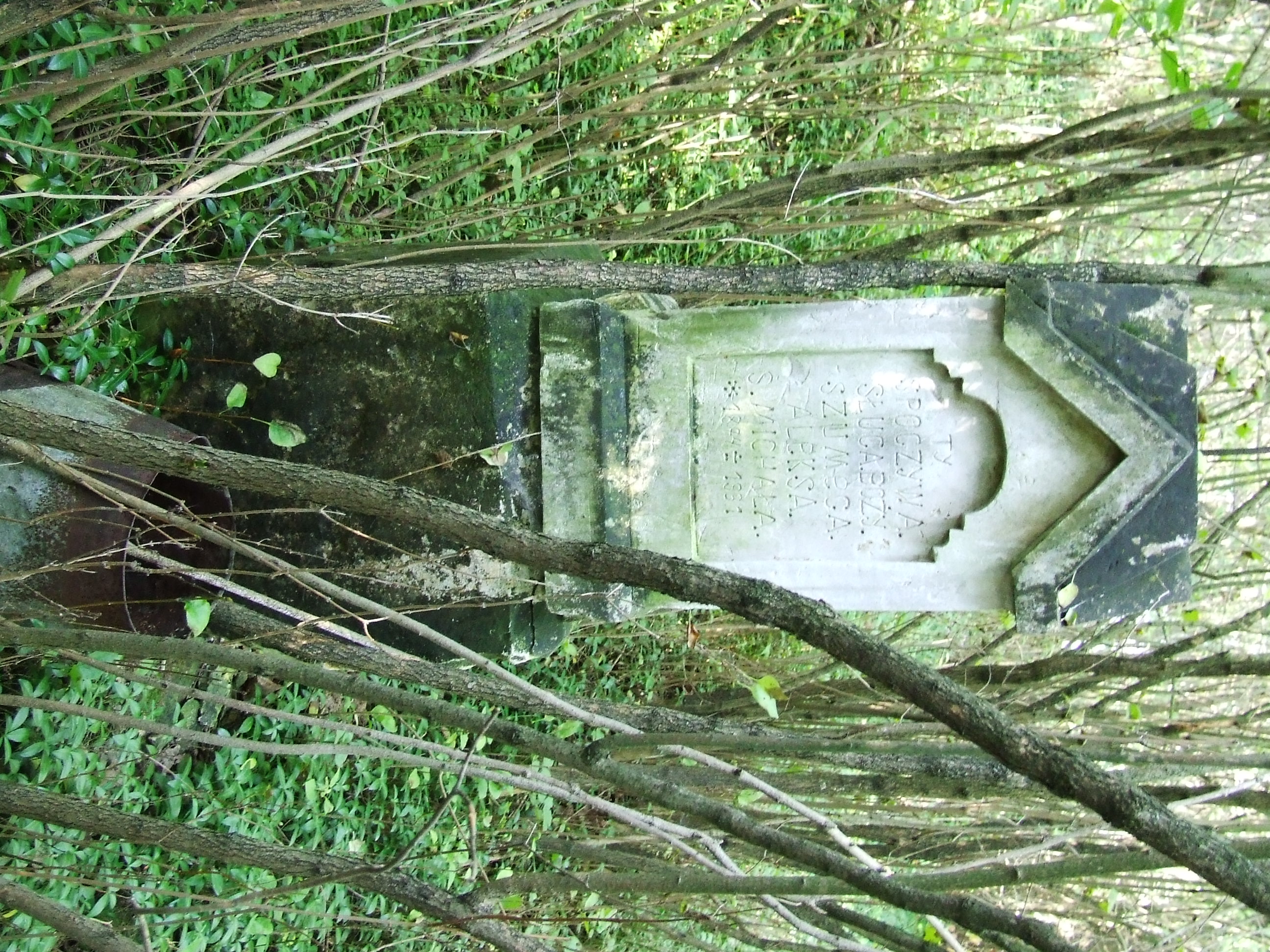 Tombstone of Aleksei Shumega, Ladzké cemetery, state from 2006.