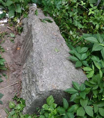 Przewrócony kamienny cokół z wyrytą inskrypcją, otoczony zielonymi liśćmi.