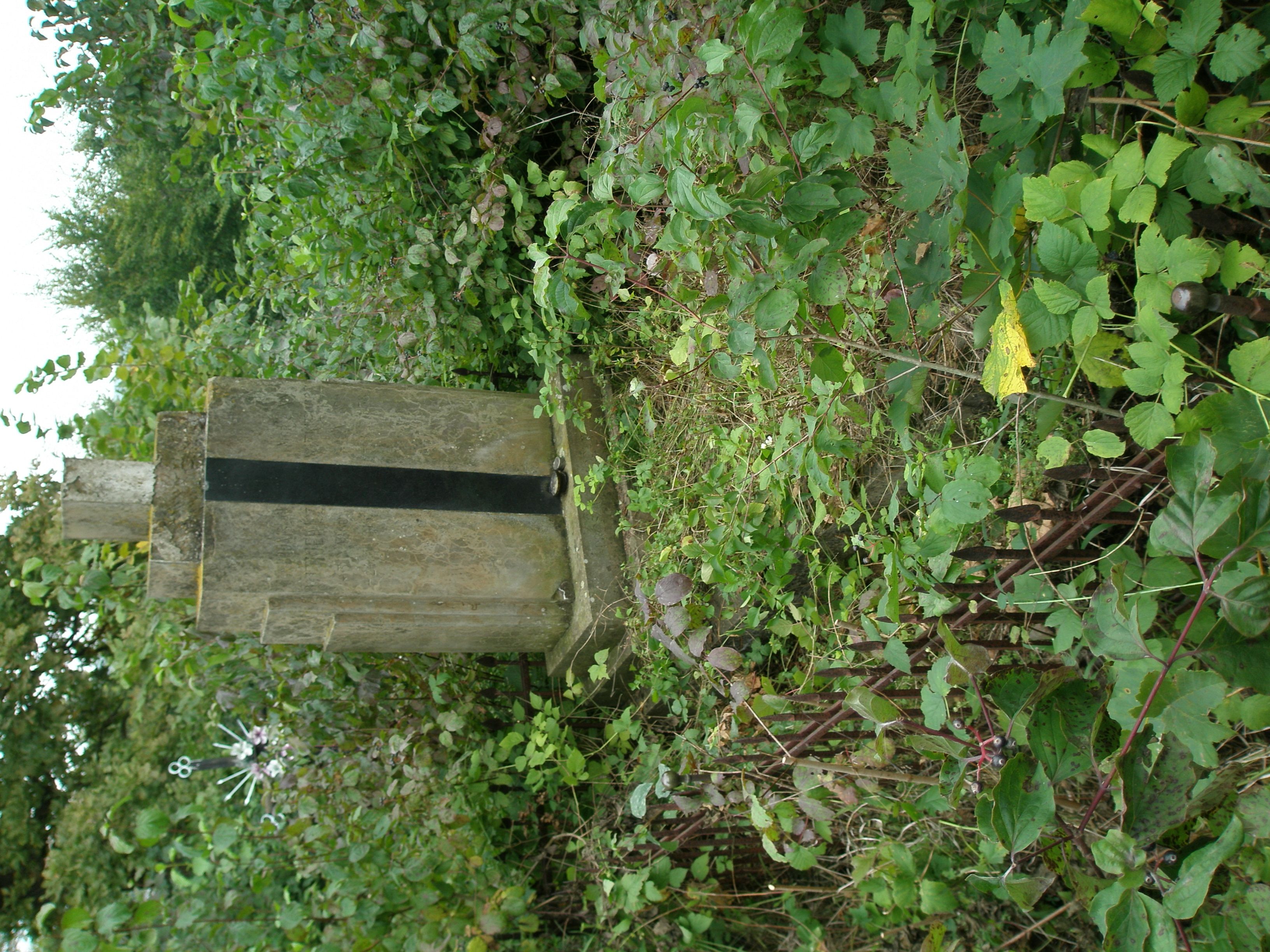Tombstone of Bronislaw and Jan Witkiewicz, state from 2006