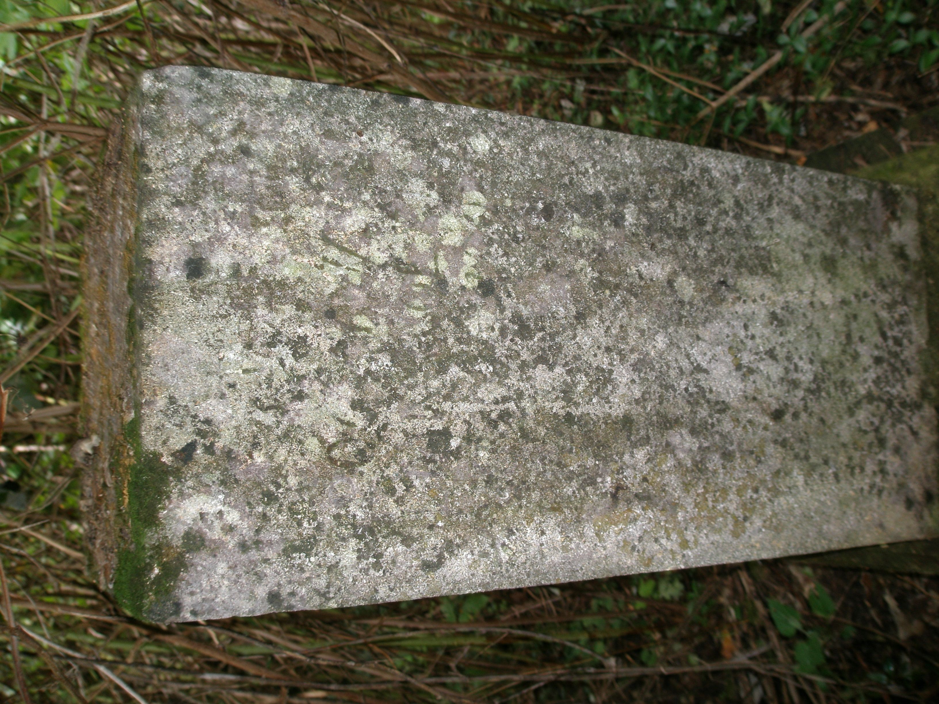 Fragment nagrobka Rozalii Zamojskiej, cmentarz w Potoku Złotym, stan z 2006