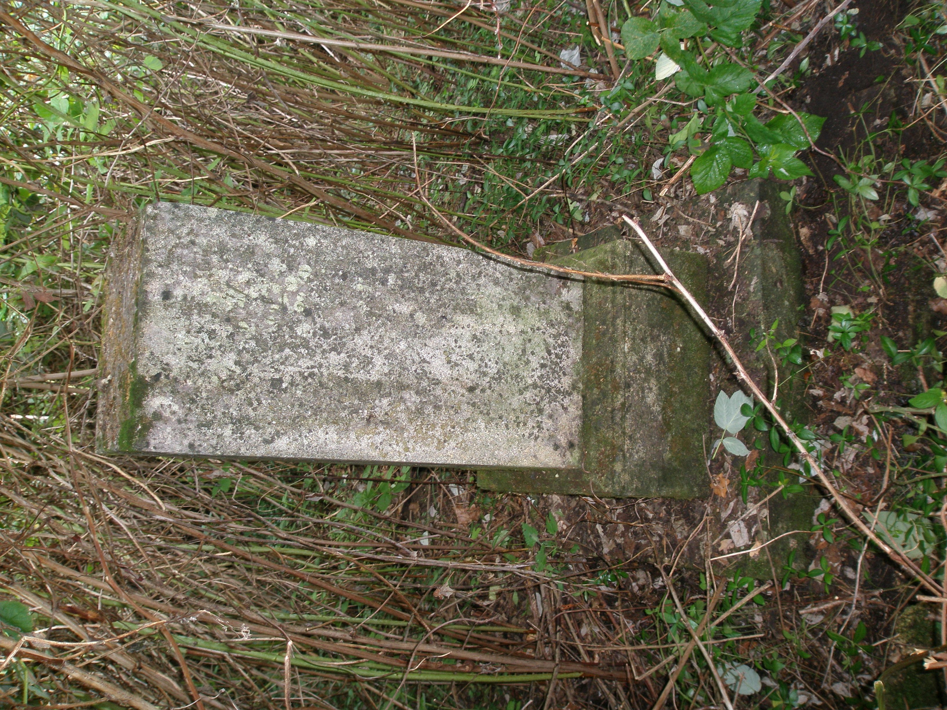 Tombstone of Rozalia Zamojska, cemetery in Potok Złoty, state from 2006