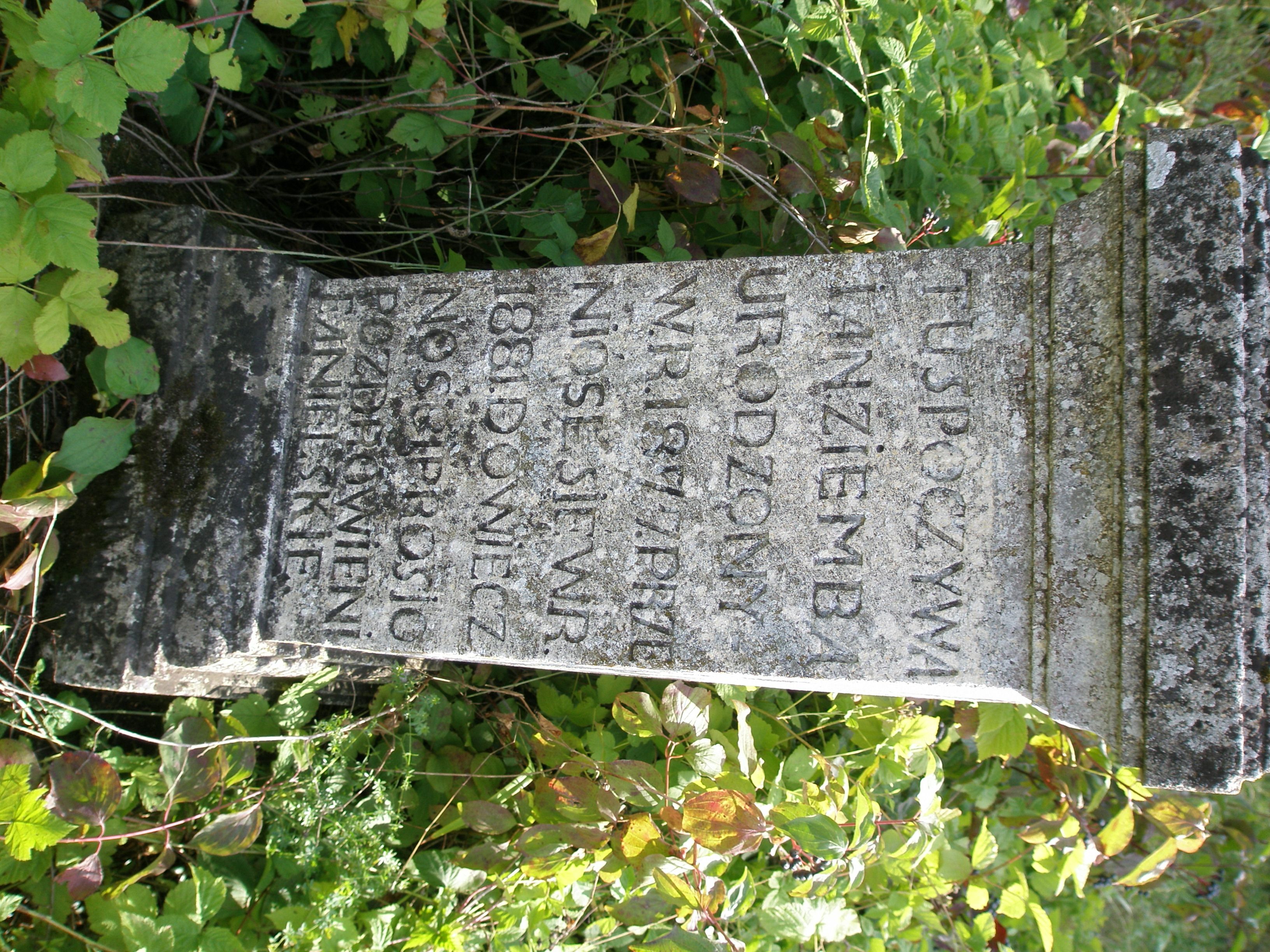 Inskrypcja z nagrobka Jana Ziemby, stan z 2006