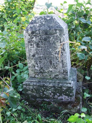 Nagrobek Emila Przyjemskiego, cmentarz w Leszczańcach, stan z 2006 r.