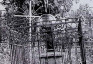 Fotografia przedstawiająca Nagrobek Antonii Śliwińskiej
