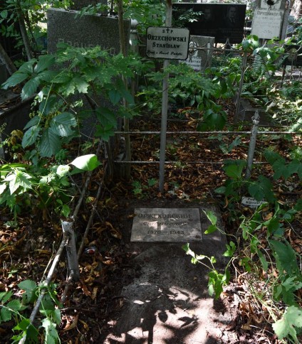 Grób Stanisława Orzechowskiego z krzyżem bez belki poprzecznej. Grób otoczony roślinnością i ogrodzony metalowym płotem. Na grobie widoczna marmurowa tablica z inskrypcją.