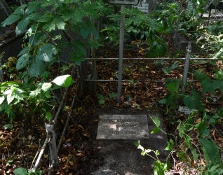 Grób Stanisława Orzechowskiego z krzyżem bez belki poprzecznej. Grób otoczony roślinnością i ogrodzony metalowym płotem. Na grobie widoczna marmurowa tablica z inskrypcją.