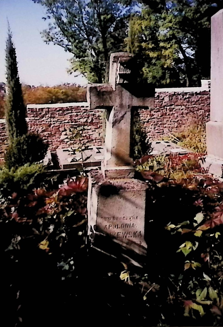 Photo montrant Gravestone of Apolonia Dluzewska