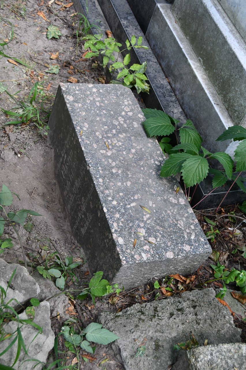 Photo montrant Tombstone of Justyna Ulaszyn