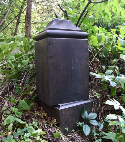 Nagrobek Seweryny Feldman z niezachowanym krzyżem na dwustopniowym cokole, otoczony gęstą roślinnością. Cokół posiada tablicę z inskrypcją w reliefie.