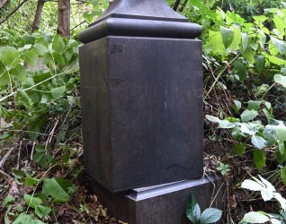 Nagrobek Seweryny Feldman z niezachowanym krzyżem na dwustopniowym cokole, otoczony gęstą roślinnością. Cokół posiada tablicę z inskrypcją w reliefie.