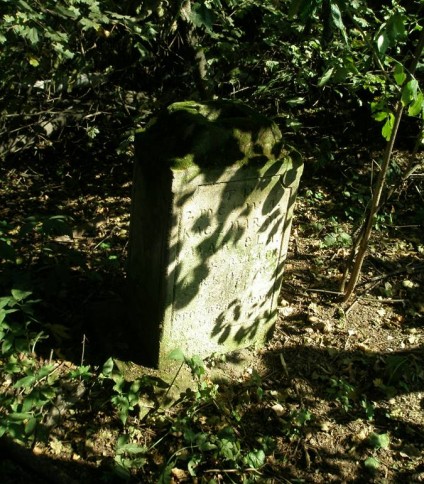 Nagrobek Marceli Kaczmarskiej, cmentarz w Podlesiu, stan z 2006