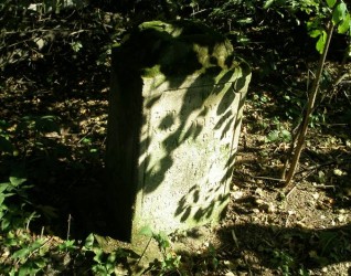 Nagrobek Marceli Kaczmarskiej, cmentarz w Podlesiu, stan z 2006