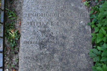 Nagrobek Wiktorii Modzelewskiej z wyrytą inskrypcją i krzyżem, otoczony trawą i roślinami.