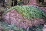 Fotografia przedstawiająca Tomb of the Mroczkowski family