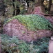 Fotografia przedstawiająca Tomb of the Mroczkowski family